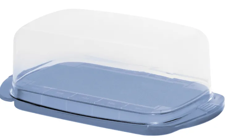 rotho Butterdose FRESH Horizon Blue