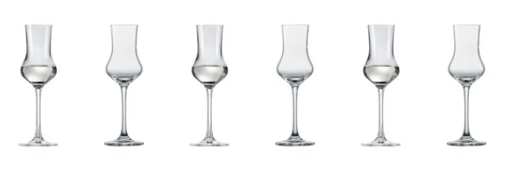 SCHOTT ZWIESEL Digestifglas CLASSICO 6er Set - je 95 ml