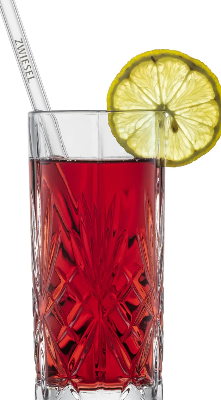 SCHOTT ZWIESEL Glastrinkhalm-Set 5-teilig 21 cm