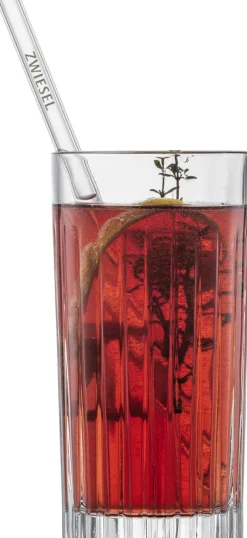 SCHOTT ZWIESEL Glastrinkhalm-Set 5-teilig 21 cm