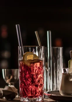 SCHOTT ZWIESEL Longdrinkglas SHOW 4er Set