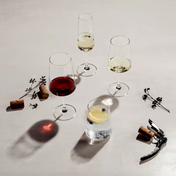 SCHOTT ZWIESEL Rotweinglas MIOVINO 4er Set 500 ml Kristallglas