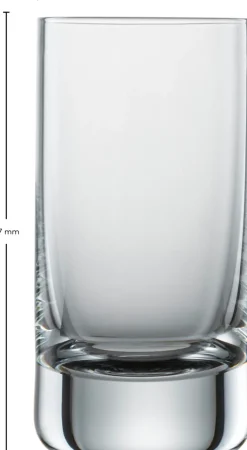 SCHOTT ZWIESEL Schnapsglas SIMPLE 6er Set 46 ml