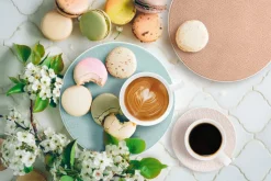 Seltmann Weiden Tasse FASHION ELEGANT 240 ml Porzellan grau