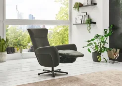 SYSTEMPOLSTER Fernsehsessel DARWIN II olive