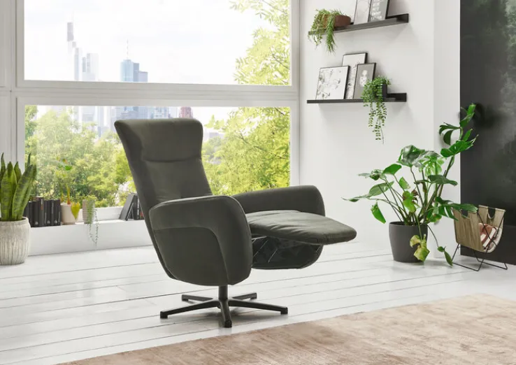 SYSTEMPOLSTER Fernsehsessel DARWIN II olive