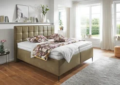 SYSTEMPOLSTER Polsterbett ALESSANDIRA 180 x 200 cm braun