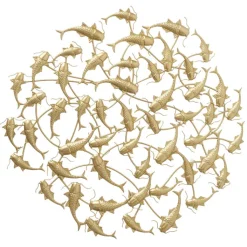 Wandobjekt MAZU FISCH