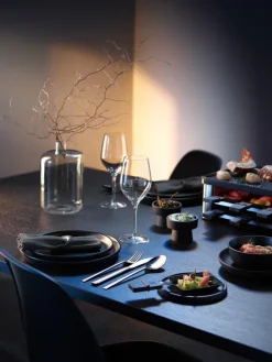 WMF Besteck-Set SONIC 66-teilig Edelstahl poliert