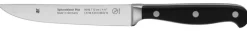 WMF Steakmesser SPITZENKLASSE 22 cm Edelstahl
