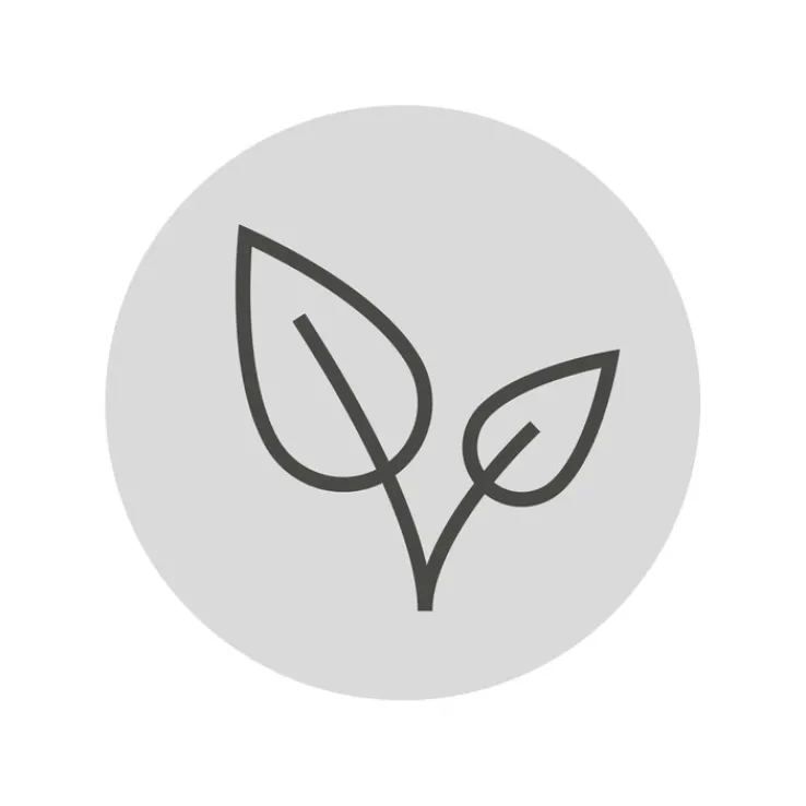 WMF Trinkhalm Set BARIC I 7-teilig Edelstahl